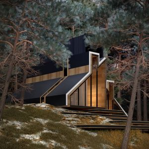alex-nerovnya-york-house-forest-designboom-003